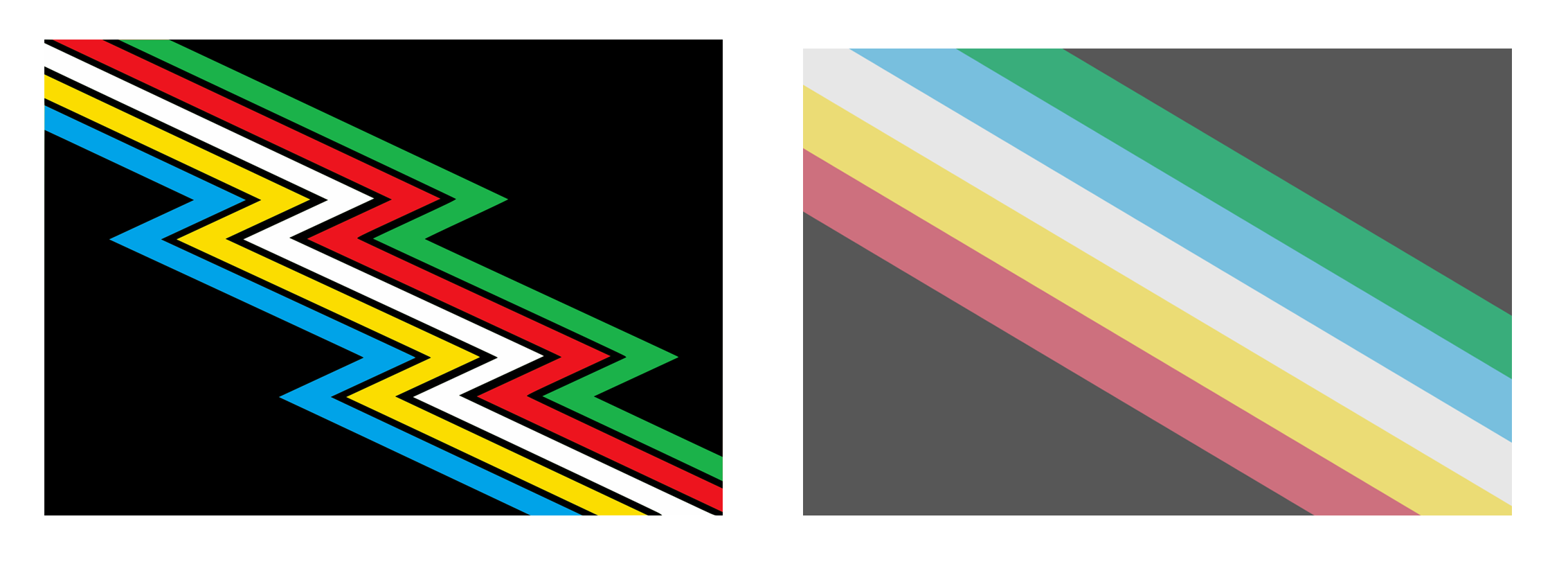 disability flags