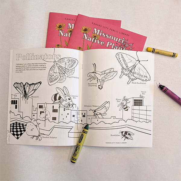 Latest Coloring Book Spotlights Wildlife on Central Library’s Rooftop