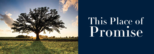 This Place of Promise: A Historian's Perspective on 200 Years of Missouri History 