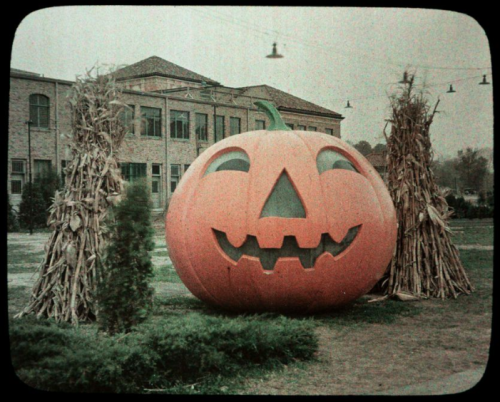 Halloween pumpkin