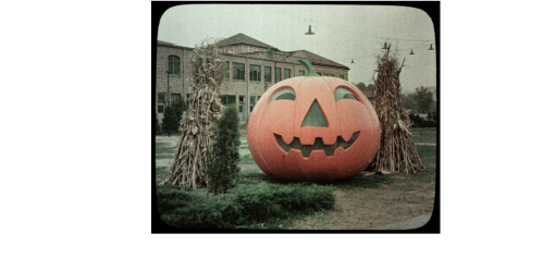 Halloween pumpkin