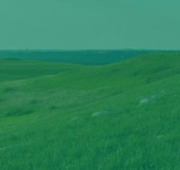 prairie with green overlay