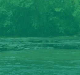 river with green overlay