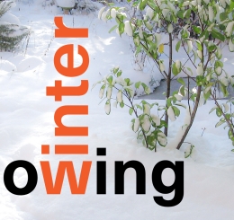 winter garden