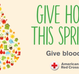 liquid drop made of various spring illustrations