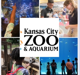 4 images of the Kansas City Zoo