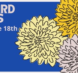 illustration of flowers