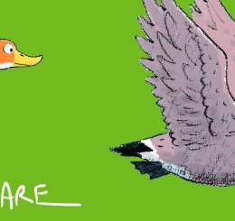 illustration of duck and goose