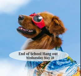 dog with sunglasses
