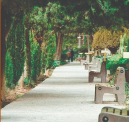 Connecting Communities 