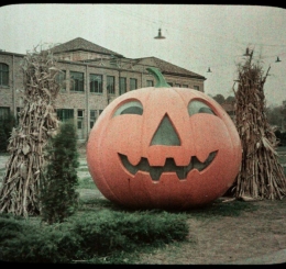 Halloween pumpkin