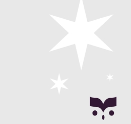 star and owl logo