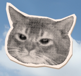 cut out magazine letters and images