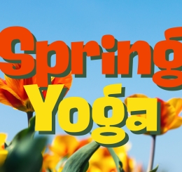 yellow flowers in bloom