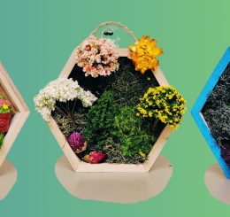 moss gardens in hanging hexagons