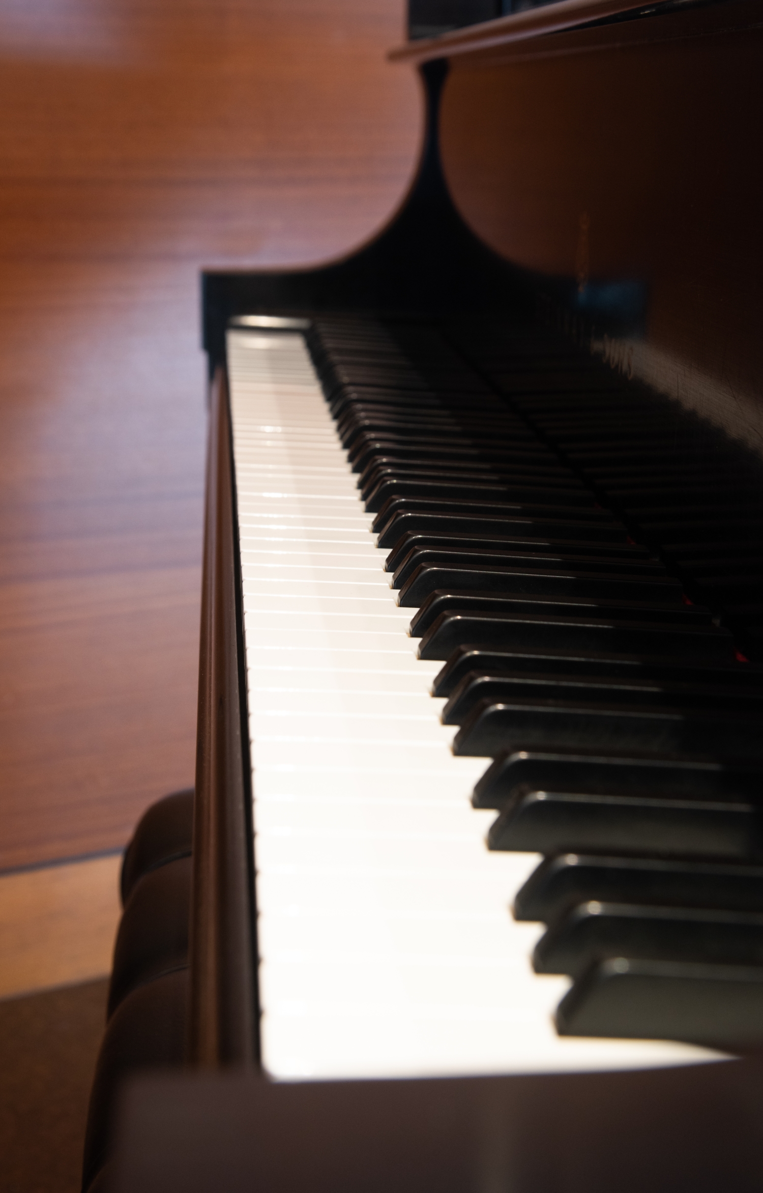 Steinway Piano, detail