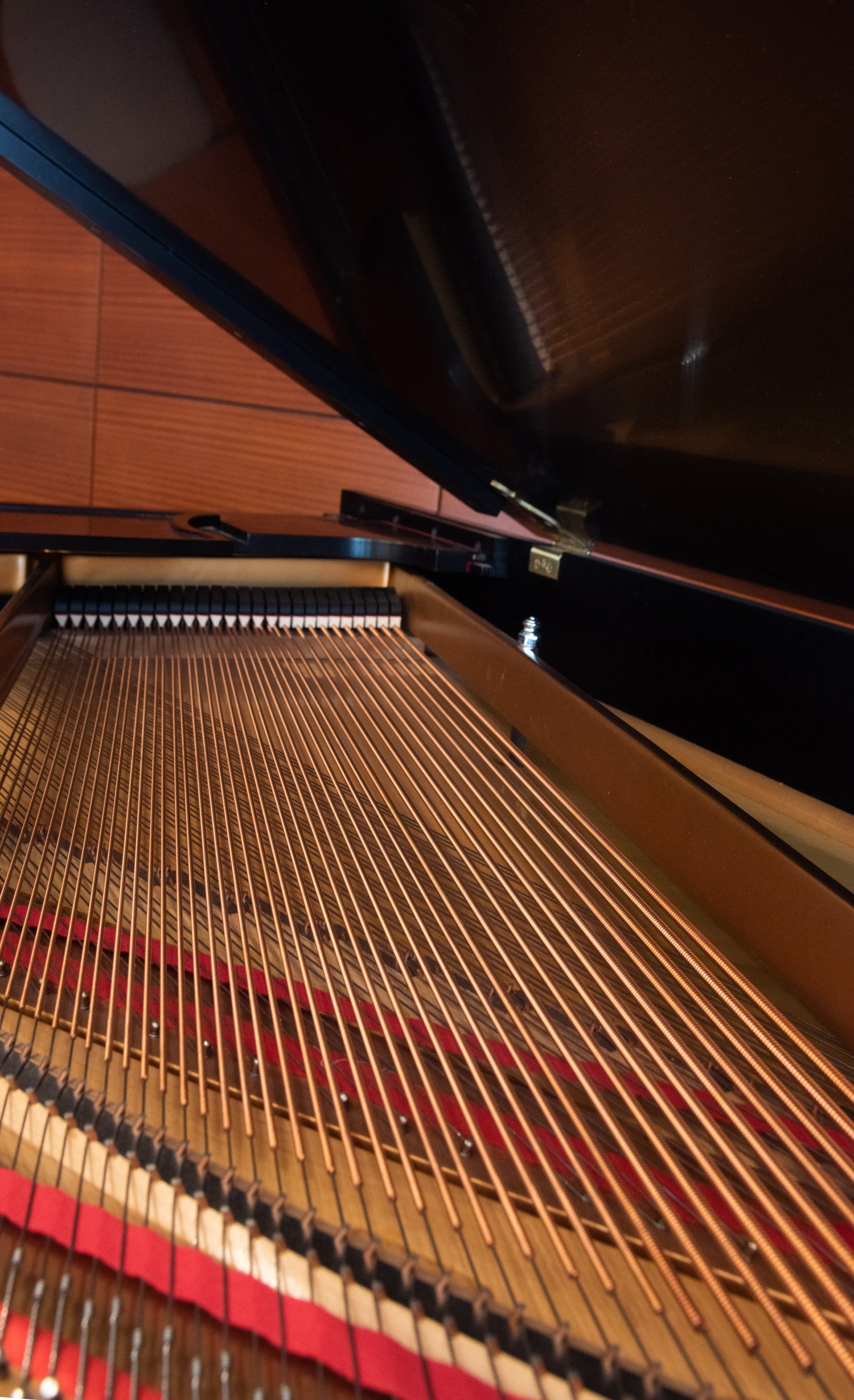 Steinway Piano, detail