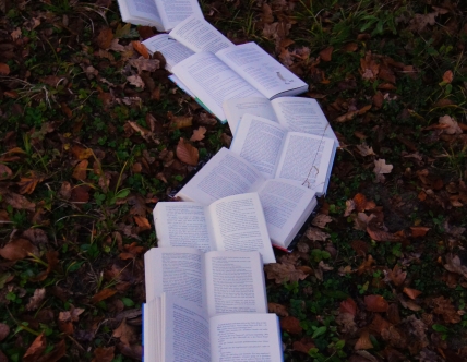 Books opened in line on leafy ground