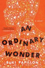Ordinary Wonder, An