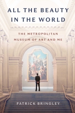 A photo of the author's back as he stands at the top of marble stairs, looking at a giant piece of art on the wall