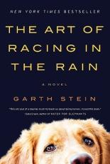 the cover of The Art of Racing in the Rain