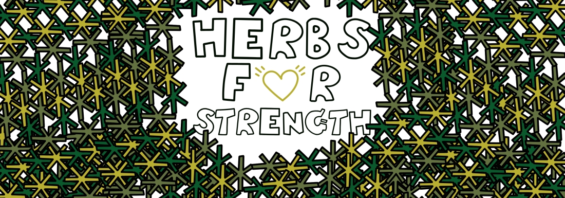 illustrations of herbs