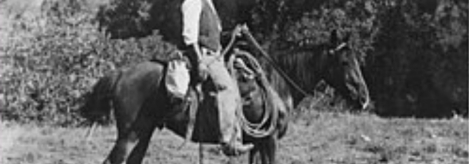 black and white photo of man on horse