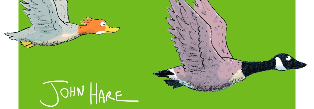 illustration of duck and goose