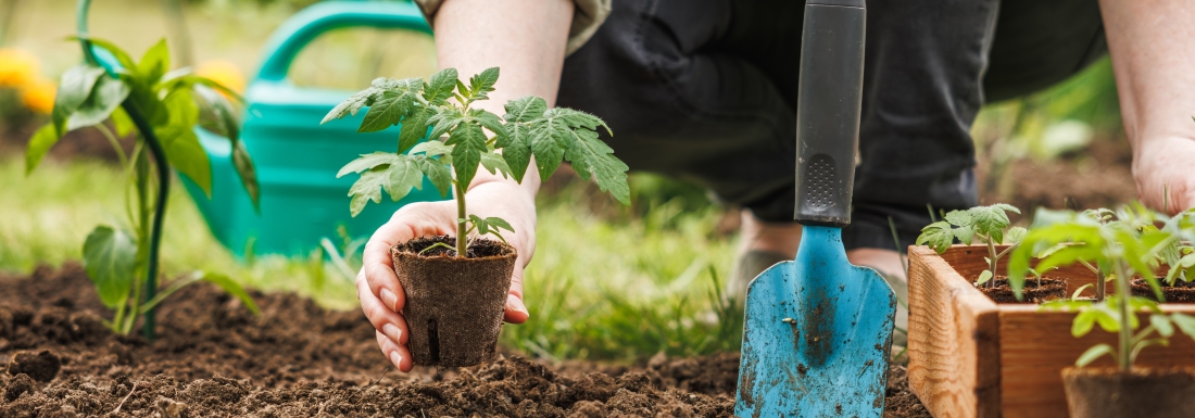 person gardening