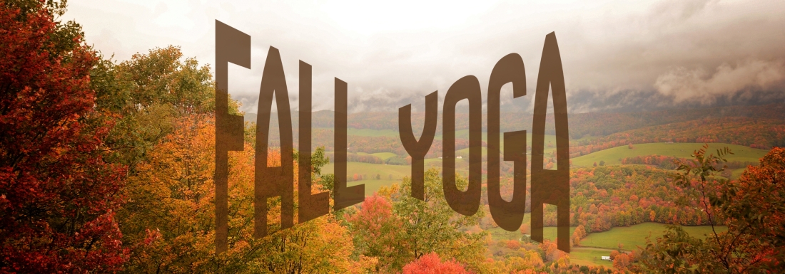 fall aerial photo