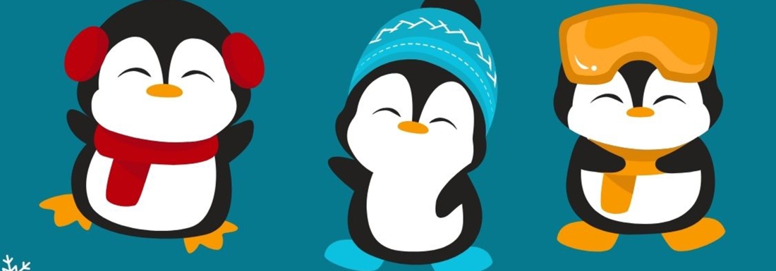 penguins in winter attire