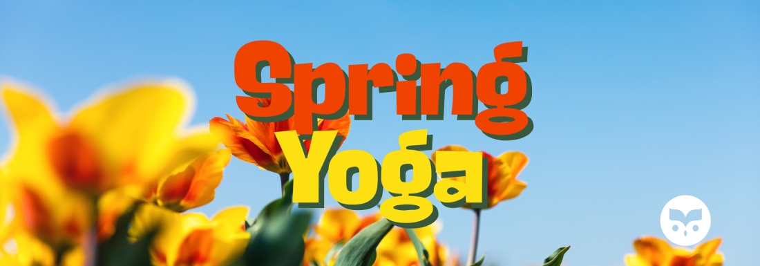 yellow flowers in bloom