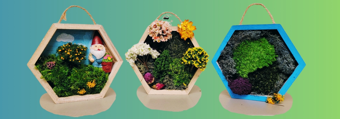 moss gardens in hanging hexagons