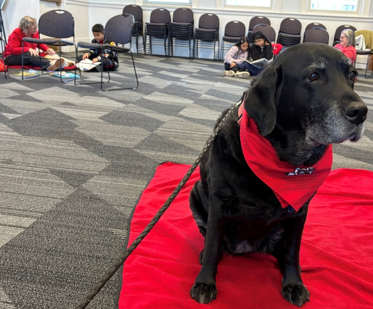 The Reading Education Assistance Dogs (R.E.A.D.) pairs a volunteer and a therapy animal, usually a dog, with a child.
