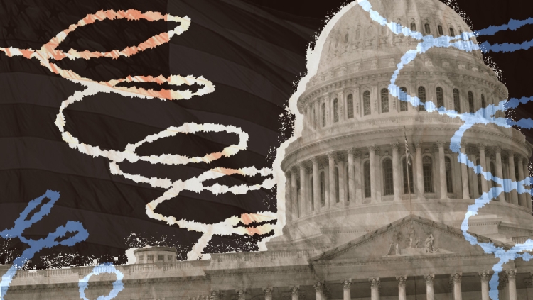 editorialized depiction of the White House