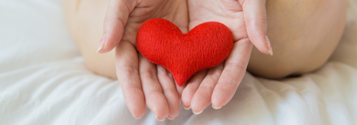 hands hold felt heart
