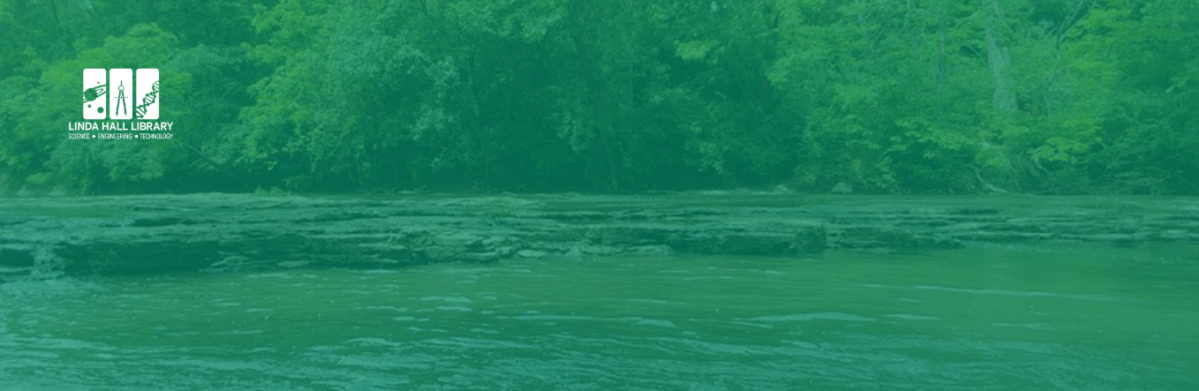 river with green overlay