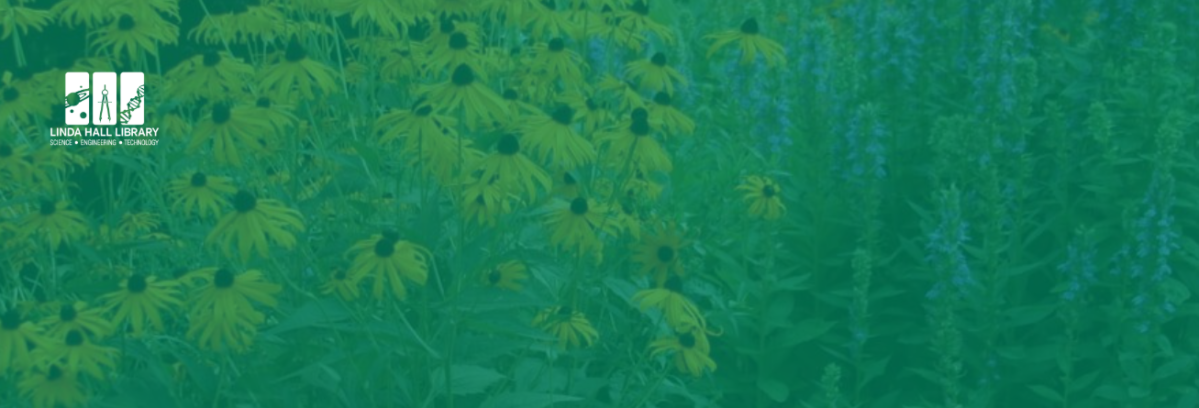 wildflowers with green overlay