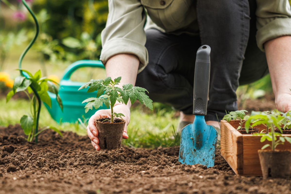 person gardening