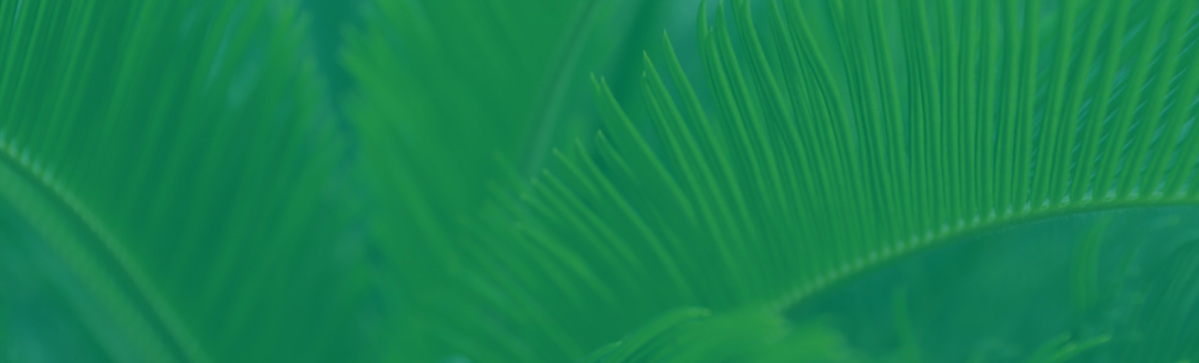 ferns with green overlay