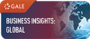Business Insights Global logo