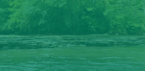 river with green overlay