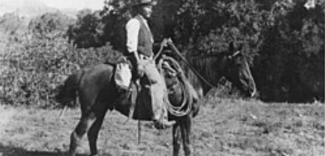 black and white photo of man on horse