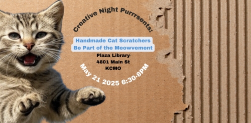 cat jumping on cardboard