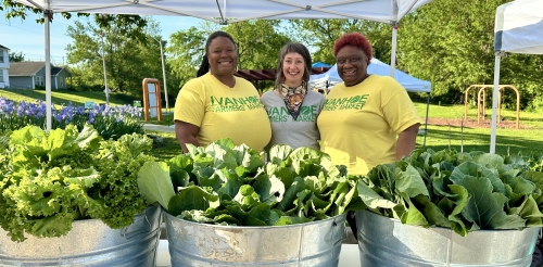 three women stand behind metal pails of lettuce