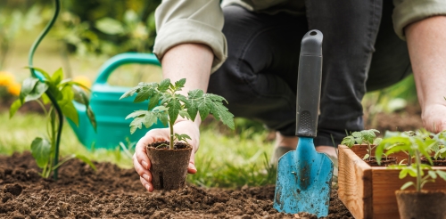 person gardening