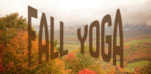 fall aerial photo