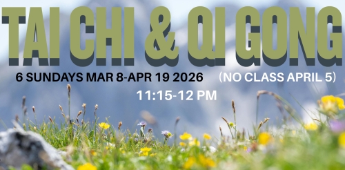 field of yellow flowers