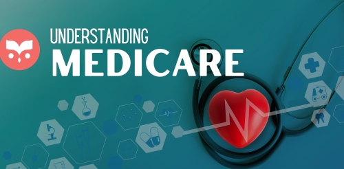 heart in stethoscope