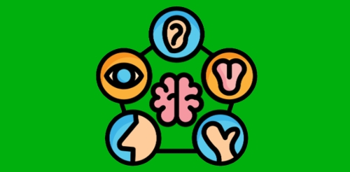 illustration of the brain surrounded by 5 senses